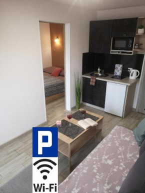 City Center Apartments - Apartamenty nad rzeką Nettą